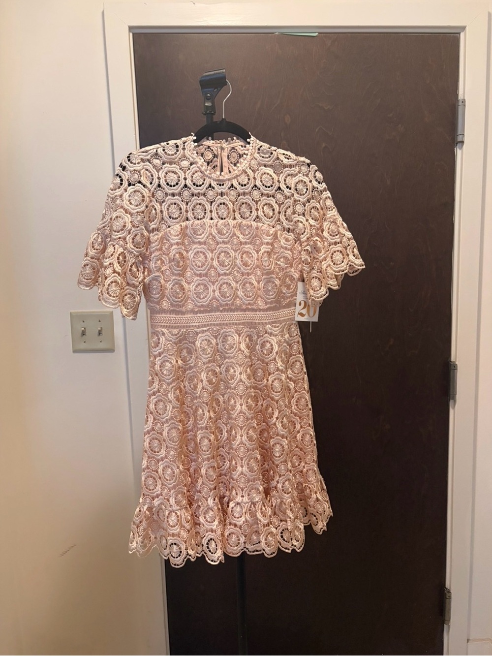 Anthropologie Blush Pink Floral Lace Mini Dress
